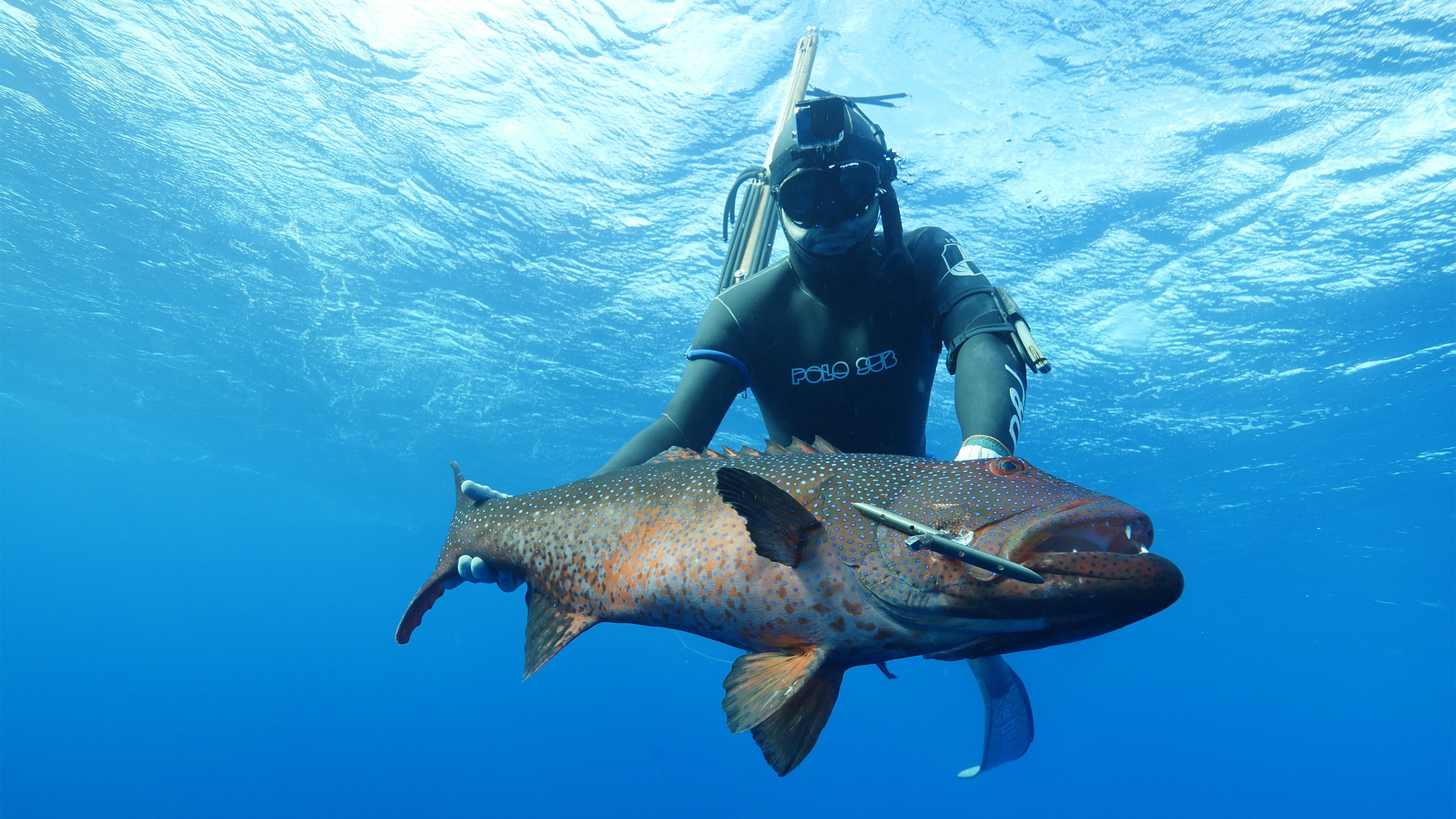 International Spearfishing Academy Slider Image 05